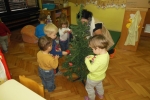 DSCN2945