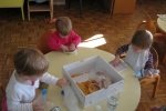 IMG 9061