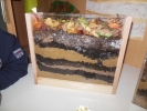 DSCN5708