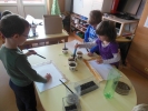 DSCN5484