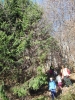 DSCN1726