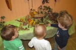 IMG 0729