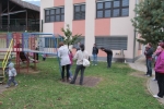 IMG 0768