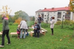 IMG 0774