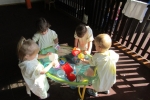IMG 4579