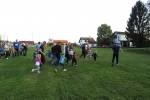 IMG 5293