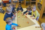 IMG 0044