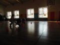 DSCN3952
