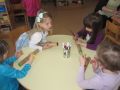 IMG 4509