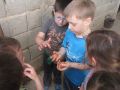 IMG 0741