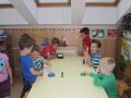 IMG 0845